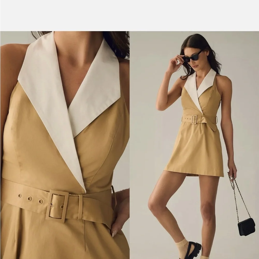 Hutch Tan and White Mini Dress - Picture 4 of 5